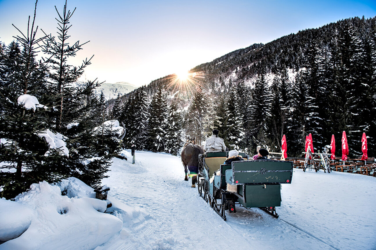 IMG__0001_Pferdekutschenfahrt_in_Gastein__c__Gasteinertal_Tourismus_GmbH__Creatina__17_