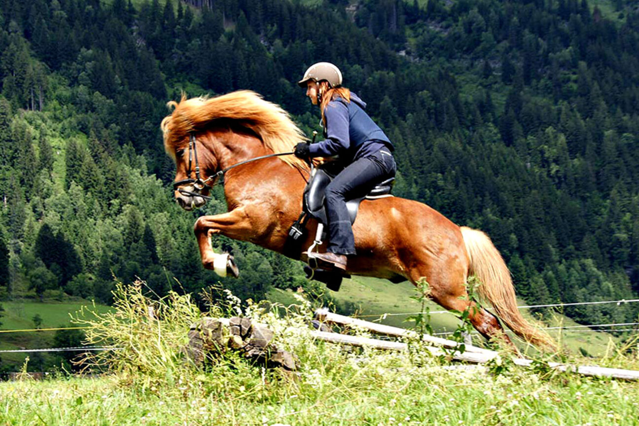 IMG__0004_box2-index